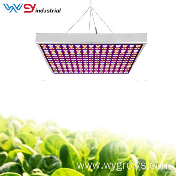 Best Grow Lights 45W Full Spectrum Grow Panel